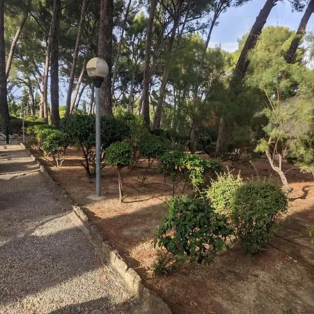 Appartamento Studio Holidays Avec Climatisation - Port Resto Mer à 200m *