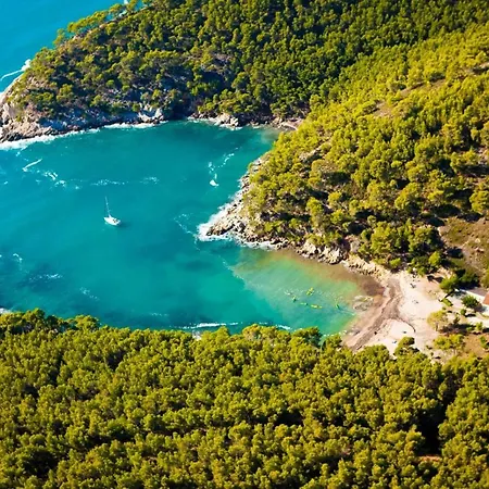 Studio Holidays Avec Climatisation - Port Resto Mer A 200m דירה *