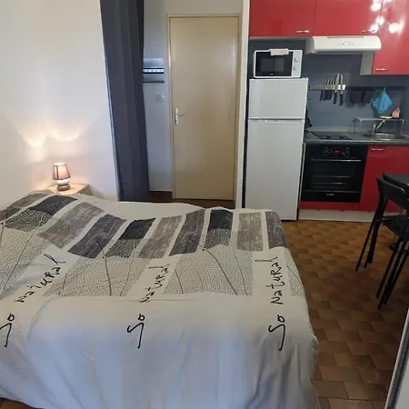 Studio Holidays Avec Climatisation - Port Resto Mer A 200m סן-סיר-סור-מר